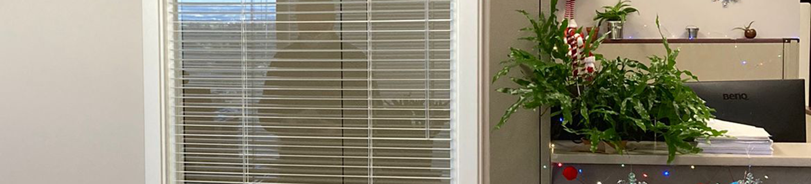 La Mesa Mini Blinds Installation Services